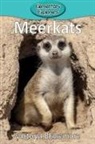 Victoria Blakemore - Meerkats