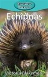 Victoria Blakemore - Echidnas