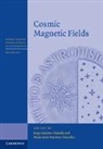 Jorge Sanchez Almeida, Jorge (Instituto De Astrofisica D Sanchez Almeida, Maria Jesus Martinez Gonzalez, Maria Jesus (Instituto de Astrofisica de Canarias Martinez Gonzalez, María Jesús Martínez González, Almeida Jorge Sanchez... - Cosmic Magnetic Fields
