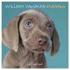 William Wegman, William/ Wegman Wegman, William Wegman, William Wegman - William Wegman Puppies 2019 Calendar