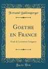 Fernand Baldensperger - Goethe en France