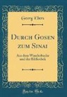 Georg Ebers - Durch Gosen zum Sinai