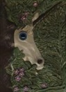 Il libro segreto degli unicorni