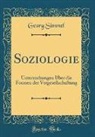 Georg Simmel - Soziologie