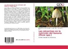 Ramón Rivera, Luis Alberto Ruiz, Jaime Enrique Simó González - Las micorrizas en la nutrición del banano (Musa spp.)