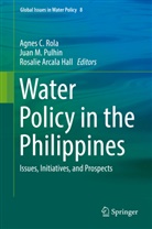 Rosalie Arcala Hall, Jua M Pulhin, Juan M Pulhin, Juan Pulhin, Juan M. Pulhin, Agnes Rola... - Water Policy in the Philippines
