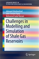 John Fianu, John Sena Fianu, John Senam Fianu, Galal Hass, Mohamed Galal Hassan, Jebraee Gholinezhad... - Challenges in Modelling and Simulation of Shale Gas Reservoirs