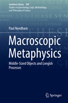 Paul Needham - Macroscopic Metaphysics