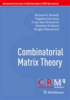 Richard Brualdi, Richard A Brualdi, Richard A. Brualdi, Ángele Carmona, Ángeles Carmona, P. van den Driessche... - Combinatorial Matrix Theory