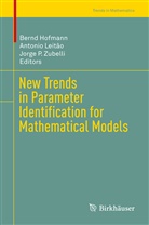 Bernd Hofmann, Antonio Leitao, Antoni Leitão, Antonio Leitão, Jorge P Zubelli, Jorge P Zubelli... - New Trends in Parameter Identification for Mathematical Models