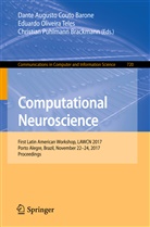 Dante Augusto Couto Barone, Christian Puhlmann Brackmann, Eduard Oliveira Teles, Eduardo Oliveira Teles, Christ Puhlmann Brackmann, Eduardo Oliveira Teles - Computational Neuroscience