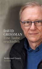 David Grossman - Eine Taube erschießen
