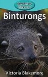 Victoria Blakemore - Binturongs
