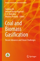 Avinash K. Agarwal, Avinash Kumar Agarwal, Santanu De, Avinas Kumar Agarwal, Avinash Kumar Agarwal, V. S. Moholkar... - Coal and Biomass Gasification