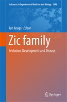 Jun Aruga, Ju Aruga, Jun Aruga - Zic family