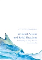 Anthony Amatrudo - Criminal Actions and Social Situations
