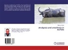 Mohamed Shokry - Analgesia and anesthesia in buffalo