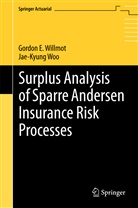 Gordon Willmot, Gordon E Willmot, Gordon E. Willmot, Jae-Kyung Woo - Surplus Analysis of Sparre Andersen Insurance Risk Processes