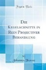 Johannes Thomae - Die Kegelschnitte in Rein Projectiver Behandlung (Classic Reprint)