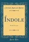 Clorinda Matto De Turner - Índole