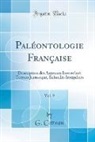 G. Cotteau - Paléontologie Française, Vol. 9