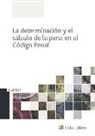Manuel Richard González, José María Rifá Soler - El proceso penal práctico : comentarios, jurisprudencia, formularios