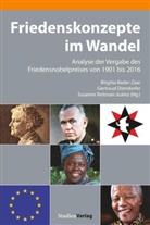 Birgitta Bader-Zaar, Gertrau Diendorfer, Gertraud Diendorfer, Susanne Reitmair-Juárez - Friedenskonzepte im Wandel