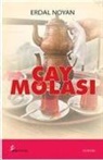 Erdal Noyan - Cay Molasi