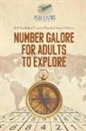 Puzzle Therapist - Number Galore for Adults to Explore | 240 Sudoku Puzzle Books Hard Edition