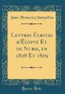 Jean-François Champollion - Lettres Écrites d'Égypte Et de Nubie, en 1828 Et 1829 (Classic Reprint)