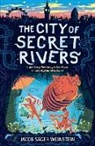 Jacob Sager Weinstein - City of Secret Rivers