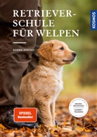 Norma Zvolsky - Retrieverschule für Welpen