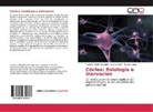 Enriqu Soto, Enrique Soto, Catalin Valdés-Baizabal, Catalina Valdés-Baizabal, Rosa Vega, Rosario Vega - Cóclea: fisiología e inervación