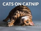 Andrew Marttila - Cats on Catnip