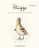 Hannah Dale, Hannah Dale - Flügge