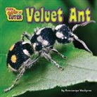 Anastasiya Vasilyeva - Velvet Ant