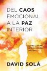 David Solá, Sola David, Solá David, David Solaa Mestres - del Caos Emocional a la Paz Interior