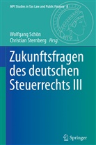 Wolfgan Schön, Wolfgang Schön, Sternberg, Sternberg, Christian Sternberg - Zukunftsfragen des deutschen Steuerrechts III