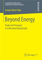 Jacopo Maria Pepe - Beyond Energy