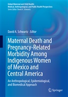 Davi A Schwartz, David A Schwartz, David A. Schwartz - Maternal Death and Pregnancy-Related Morbidity Among Indigenous Women of Mexico and Central America