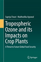 Madhoolika Agrawal, Supriy Tiwari, Supriya Tiwari - Tropospheric Ozone and its Impacts on Crop Plants