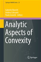 Gabriele Bianchi, Andre Colesanti, Andrea Colesanti, Paolo Gronchi - Analytic Aspects of Convexity