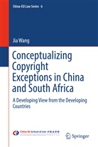 Jia Wang - Conceptualizing Copyright Exceptions in China and South Africa
