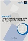 Rolf Rannacher - Numerik 3