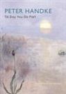 Peter Handke - Till Day You Do Part Or A Question of Light