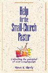 Steve R. Bierly - Help for the Small-Church Pastor
