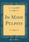 C. I. Scofield - In Many Pulpits (Classic Reprint)