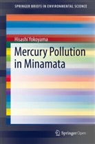 Hisashi Yokoyama - Mercury Pollution in Minamata