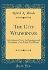 Robert A. Woods - The City Wilderness