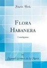 Manuel Gómez de la Maza - Flora Habanera